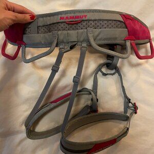 Climbing Harness